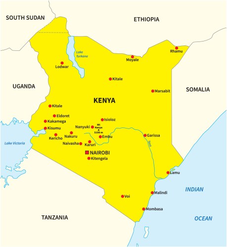 Simple yellow overview map of kenya vector image