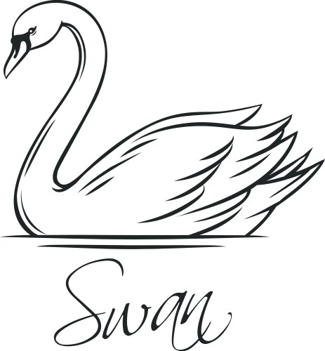 swans outline icon vector image