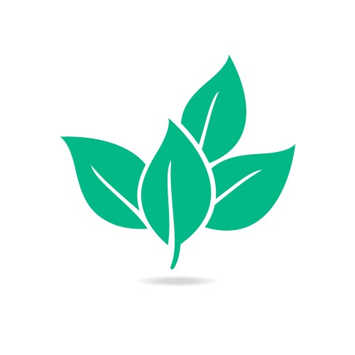 eco icon green leaf isolated vector image