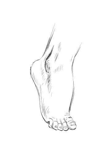 Hand drawn sketch feet vector image