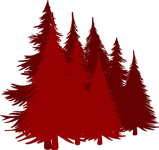 fir tree silhouette vector image