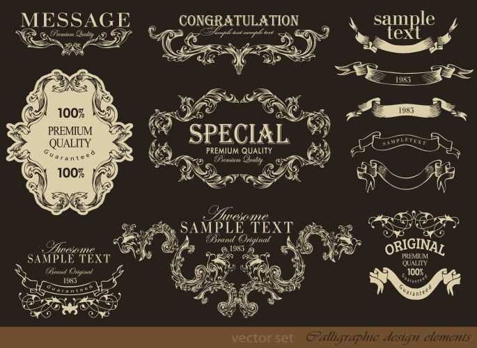 Calligraphic design elements vector image