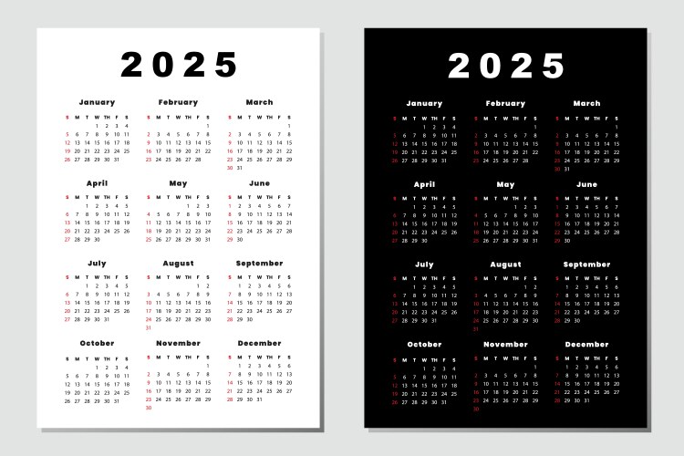 Calendar 2025 template print vector image