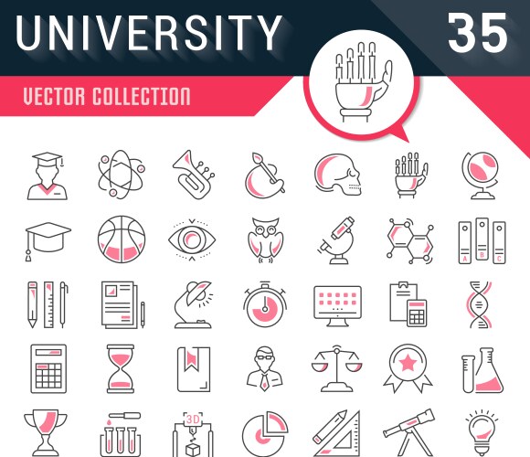 set flat line icons university vector image