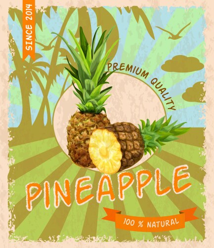 pineapple retro poster vector image