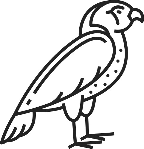 horus falcon bird isolated outline icon vector image