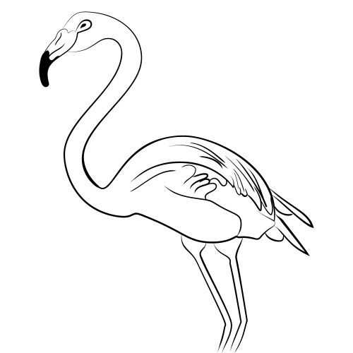 flamingo bird black white sketch vector image