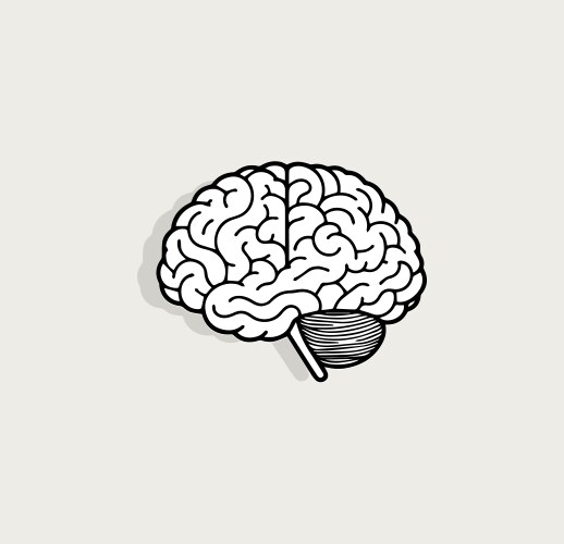 Brain sketch thought intellect symbol mental vector image