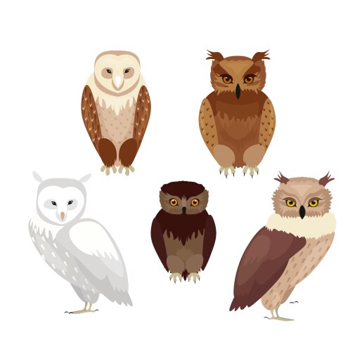 realistic owls set vector image