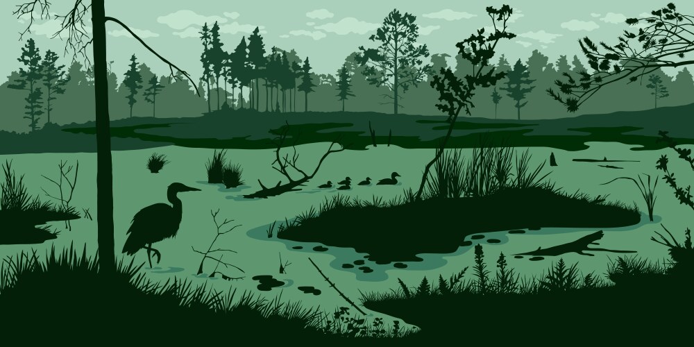 Horizontal swamp landscape marsh silhouette vector image