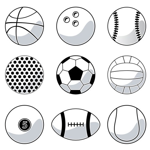 sport balls vector image