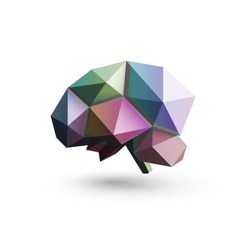 Colored brain polygonal design vector image