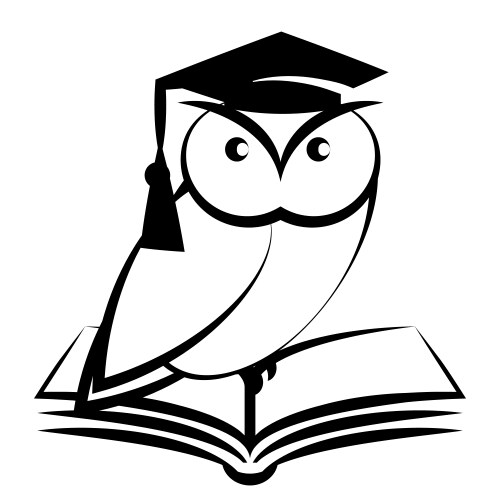 Owl with college hat and book vector image