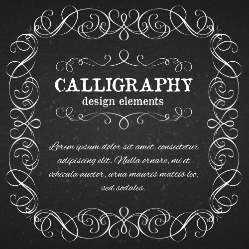 page decoration calligraphic design elements vector image