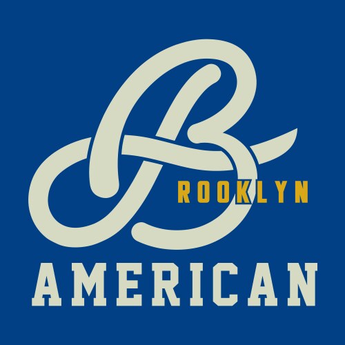 brooklyn american vector image