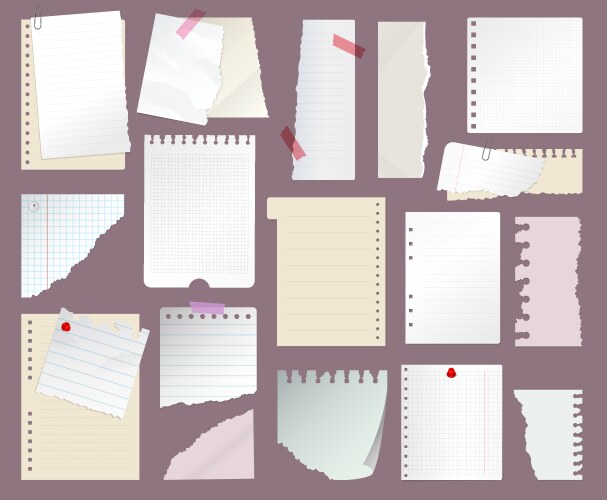 Paper notes templates of stripped papers vector image