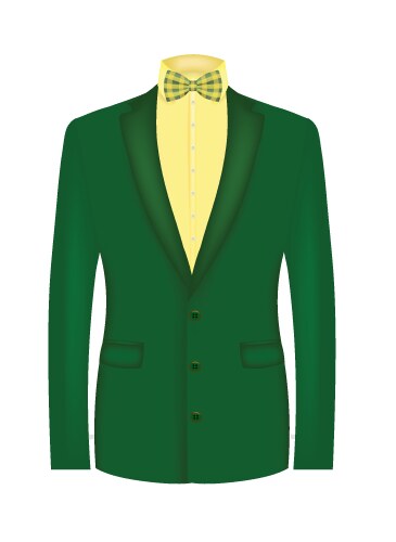 Green suit with bow tie vector image