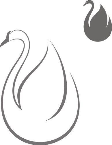 swan vector image