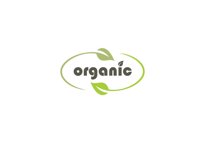 Organic leaf company logo vector image