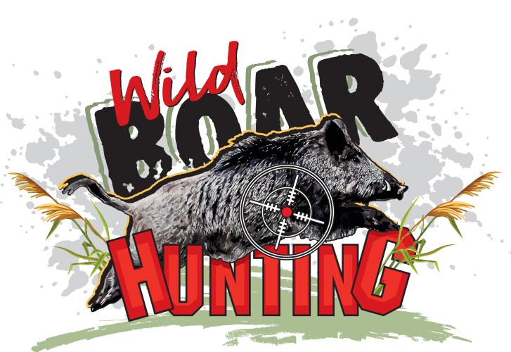 wild boar hunting vector image