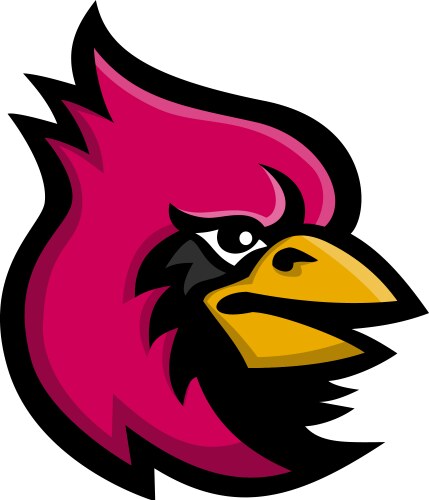 Cardinal bird head mascot vector image