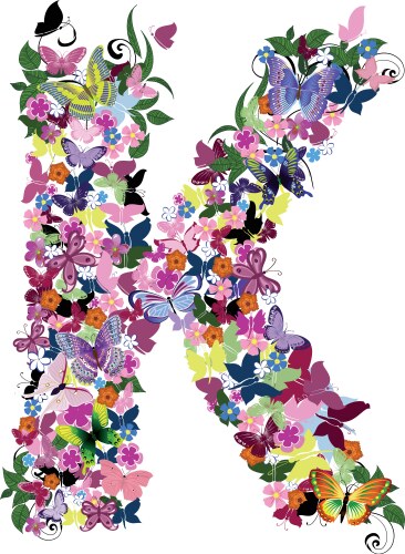 Floral pattern vector image