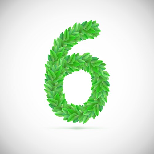 Number six made up of green leaves vector image