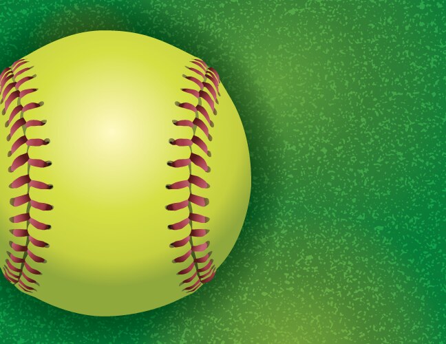 Softball on grass textured field vector image