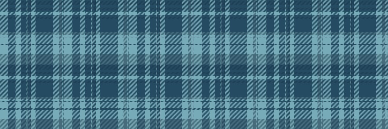 Nyc seamless textile pattern october plaid fabric vector image