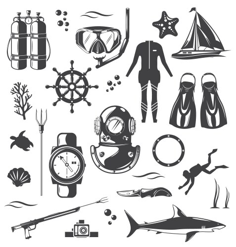 Scuba diving snorkeling equipment and gear set vector image