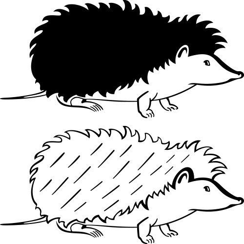 hedgehog vector image