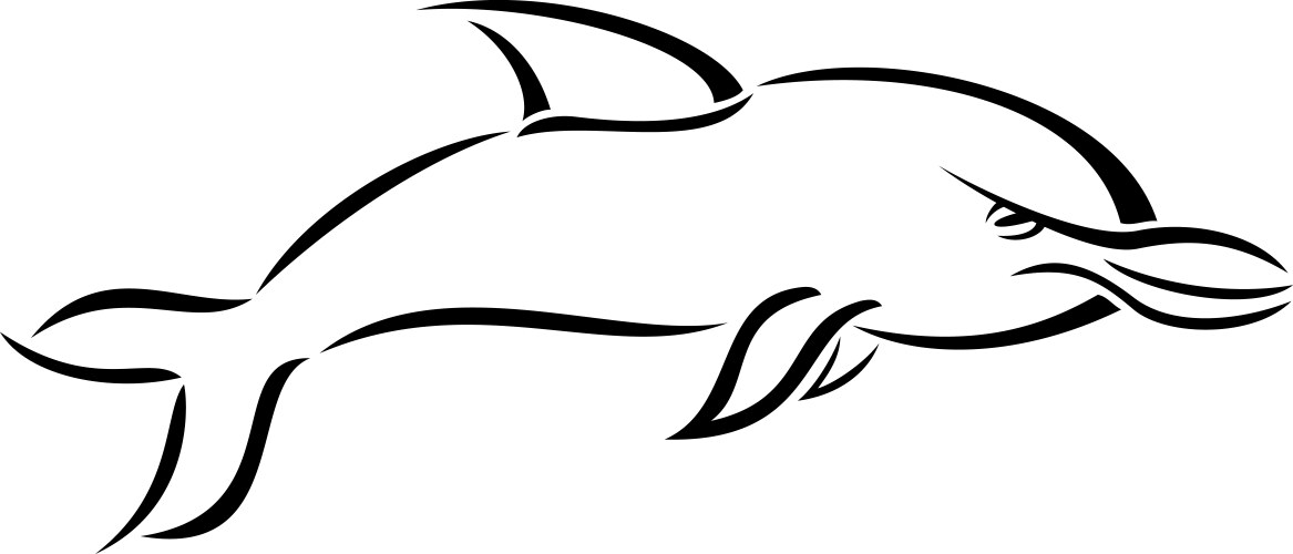 dolphin vector image