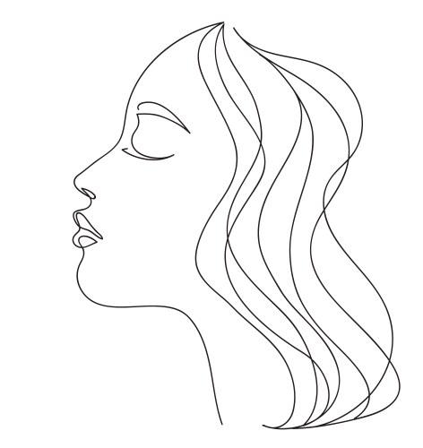 Woman profile with long hair vector image