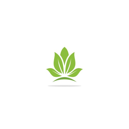 green leaf organic plant logo vector image