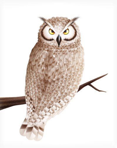 Realistic owl bird composition vector image