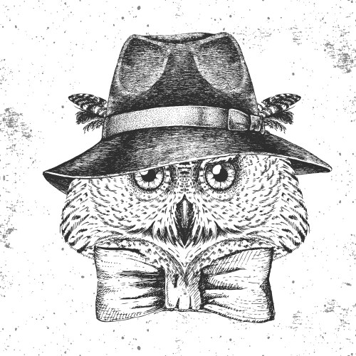 Hipster bird owl with hat hand drawing muzzle vector image