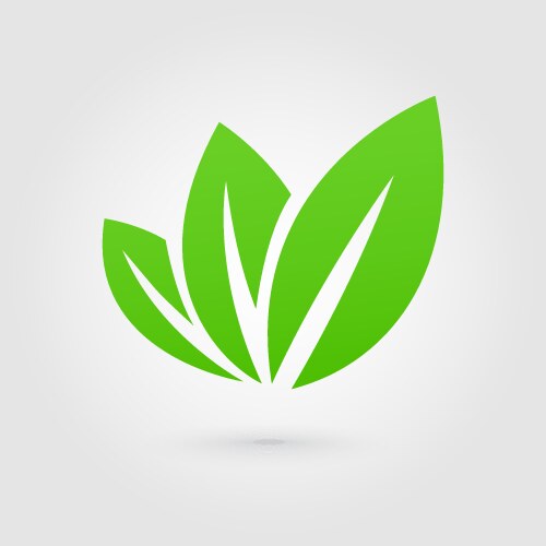 eco icon green leaf vector image