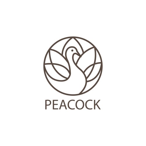 Peacock color line logo circle design template vector image