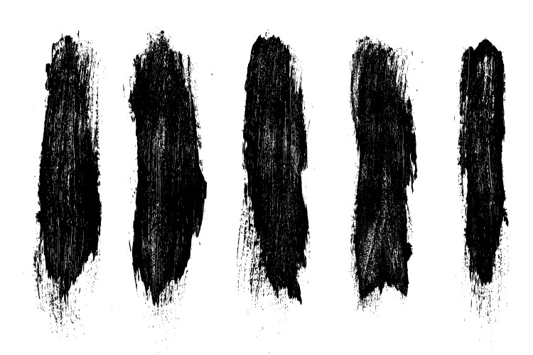 Set of black brush strokes isolated on white vector image