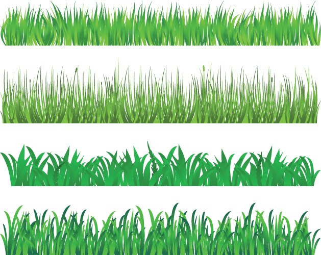 Green grass elements vector image