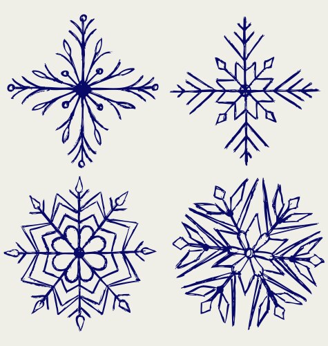 Snowflake winter vector image