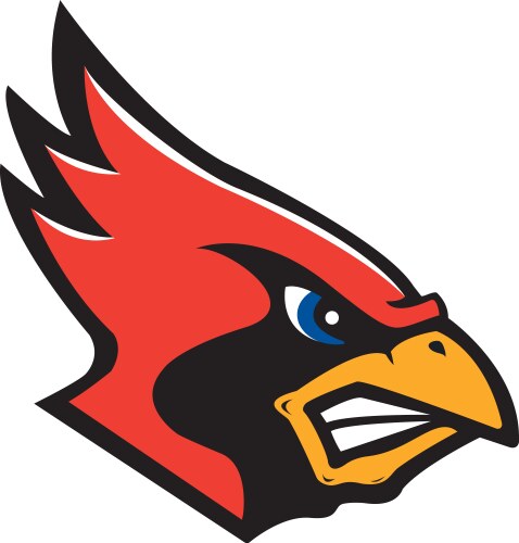 Cardinal head logo mascot vector image