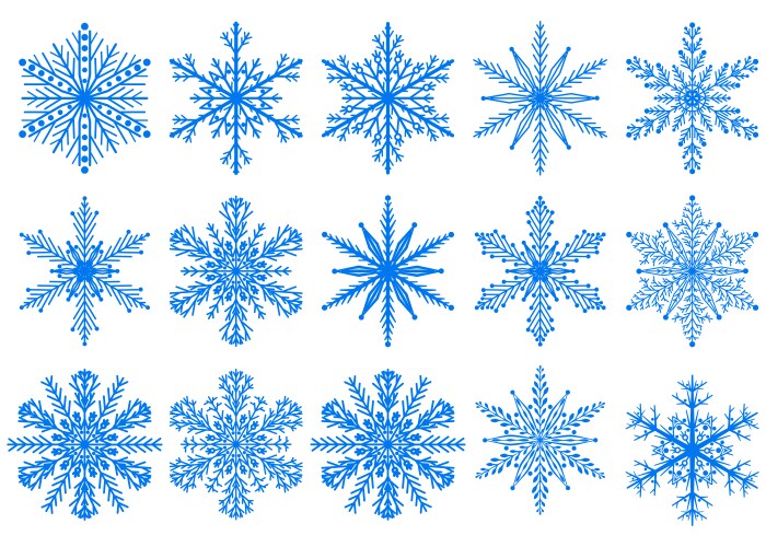 Set of christmas snowflakes vector image