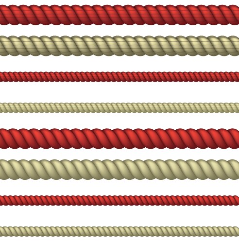 rope line vector image