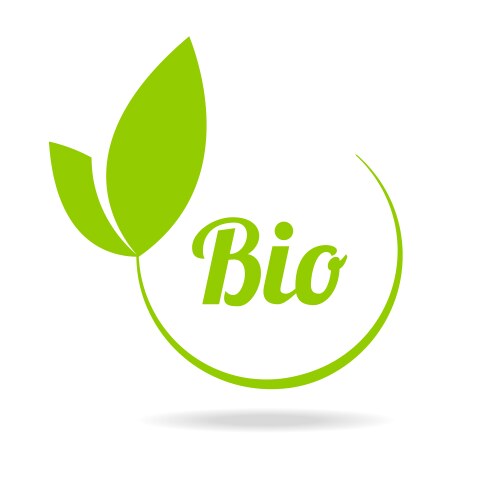 eco icon with green leaf vector image