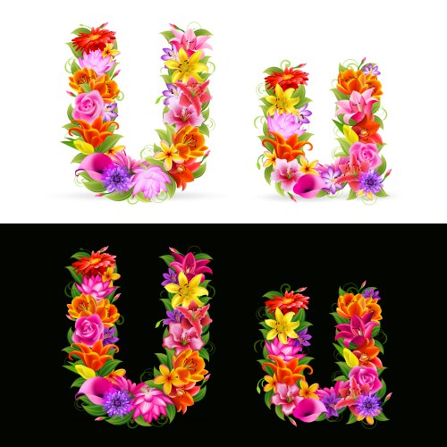 Flower font vector image