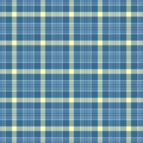 Kid tartan background pattern glamour plaid vector image