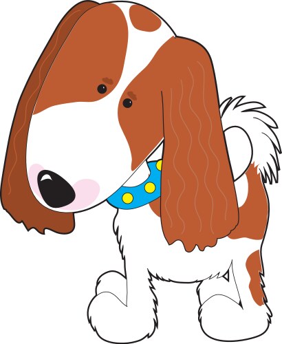 Cavalier king charles spaniel vector image