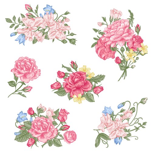 Set of floral design elements vector image