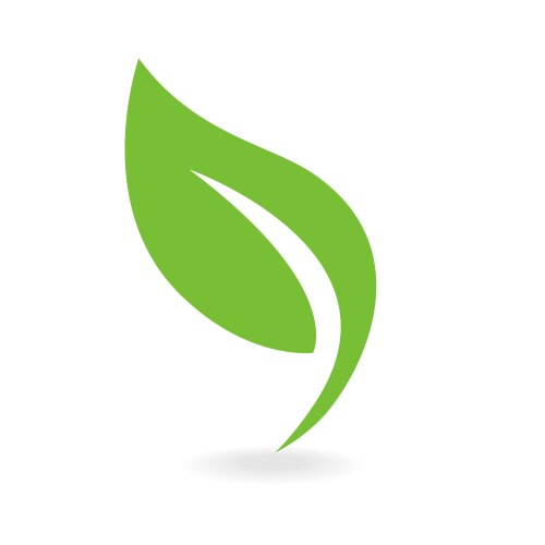 eco icon green leaf vector image